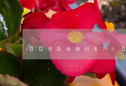 閃電借款逾期利息70(閃電借款利息多少)