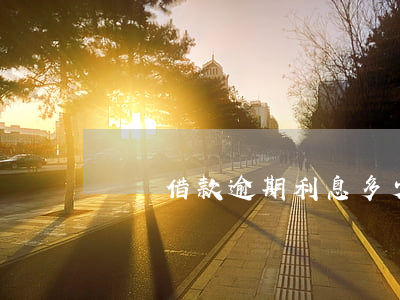 閃電借款逾期利息多少(閃電貸還款日期)