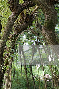 閃電借款逾期合法嗎(閃電貸借款是真的嗎正規(guī)嗎?)