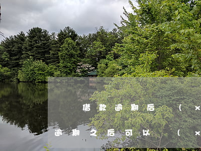閃電借款逾期后協(xié)商減免(閃電貸逾期之后可以協(xié)商分期嗎)
