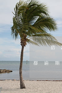 閃電借款逾期幾天(閃電借款是不是倒閉了,我都逾期三天了)