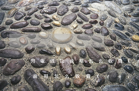 閃電借款逾期怎么收費(fèi)(閃電借款逾期怎么收費(fèi))