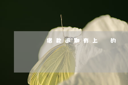 閃電借款逾期有上門的嗎(閃電貸逾期了)