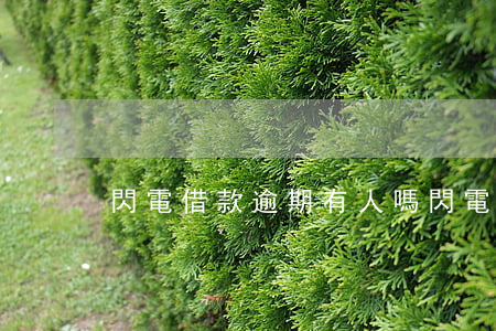 閃電借款逾期有人嗎(閃電貸逾期多久會上訴)