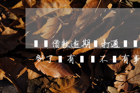 閃電借款逾期沒打通訊錄(閃電借款逾期一年多了沒有還會不會有事)