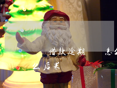 閃電借款逾期沒還怎么辦(閃電借款不還有什么后果)