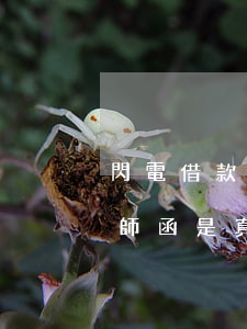 閃電借款逾期發(fā)律師函(貸款逾期律師函是真的嗎)