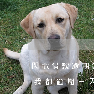 閃電借款逾期第二天(閃電借款是不是倒閉了,我都逾期三天了)