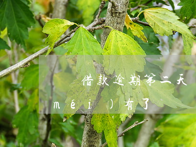 閃電借款逾期第二天(閃電借款逾期賬單沒(méi)有了)