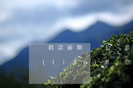 閃電借款逾期認證公積金(閃電貸逾期多久會聯(lián)系緊急聯(lián)系人)