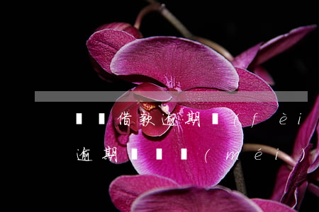 閃電借款逾期費(fèi)怎么算(閃電借款逾期賬單沒(méi)有了)