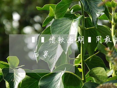 閃電借款逾期費用最高(閃電借款不還有什么后果)