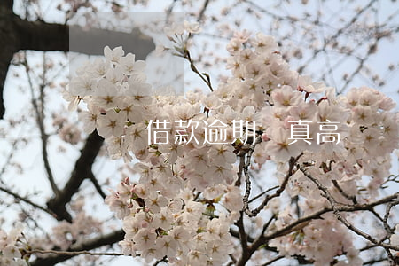 閃電借款逾期費真高(閃電貸借錢)