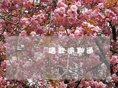 閃電借款逾期通訊錄(閃電貸逾期嚴重嗎)