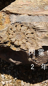 閃電借款逾期過(guò)一次(閃電貸逾期2年了)