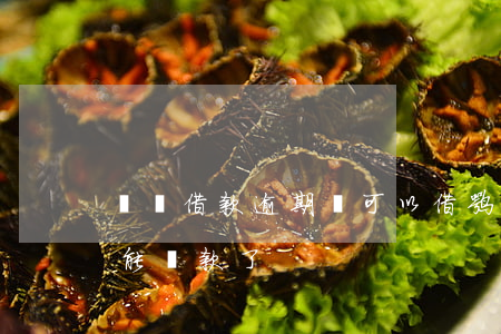 閃電借款逾期還可以借嘛(閃電借款為什么不能還款了)