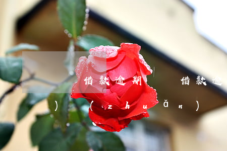 閃電借款逾期(閃電借款逾期債權(quán)轉(zhuǎn)讓給麗皆彩)