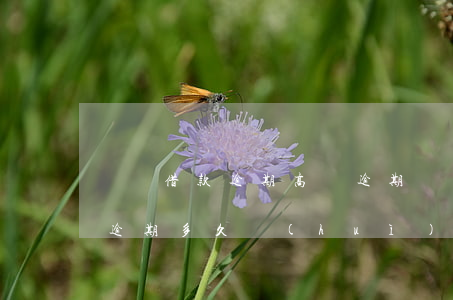 閃電借款逾期高額逾期費(fèi)(閃電貸逾期多久會(huì)上訴)