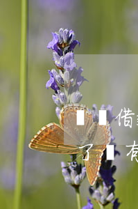 閃電借款長期逾期不還(閃電借款逾期一年多了沒有還會不會有事)
