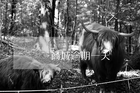 閃電商城逾期一天