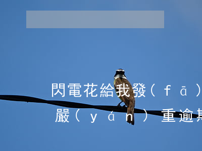 閃電花給我發(fā)個(gè)短信說我嚴(yán)重逾期-閃電花說我借款