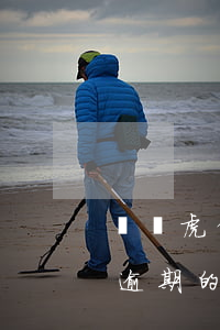 閃電虎借款逾期會(huì)怎么樣(閃電貸逾期的后果)