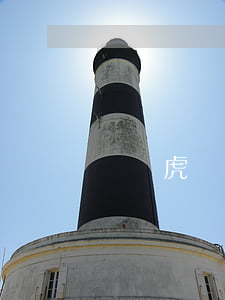 閃電虎還款其他逾期可以(閃電貸逾期的后果)