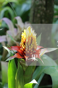 閃電貸欠了十二萬(wàn)逾期有什么后果-閃電貸欠了十二萬(wàn)逾期有什么后果嗎