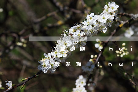 閃電貸款逾期會(huì)去法院起訴嗎(閃電貸款逾期會(huì)去法院起訴嗎)