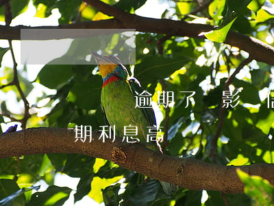 閃電貸逾期了會影響信用卡使用么(閃電貸逾期利息高嗎)