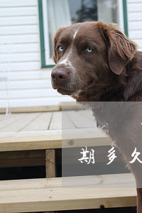 閃電貸逾期會(huì)查封嗎-閃電貸逾期多久會(huì)被起訴