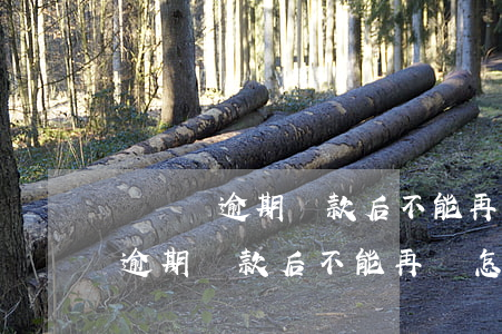 閃電貸逾期還款后不能再貸怎么辦-閃電貸逾期還款后不能再貸怎么辦呢