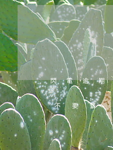 閃電逾期發(fā)短信了 閃電逾期一天要不要緊
