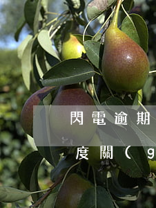 閃電逾期還款后沒額度(閃電貸提前還款后額度關(guān)閉了)