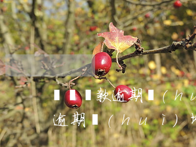 閃電還款逾期會(huì)增信嗎(閃電還款逾期會(huì)增信嗎)