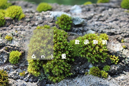 閃電飛豬貸款逾期的問題(閃電貸逾期嚴(yán)重嗎)