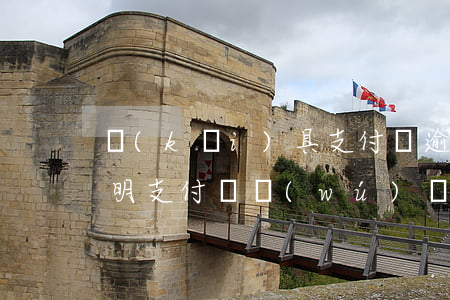 開(kāi)具支付寶逾期說(shuō)明(支付寶無(wú)惡意逾期開(kāi)證明)