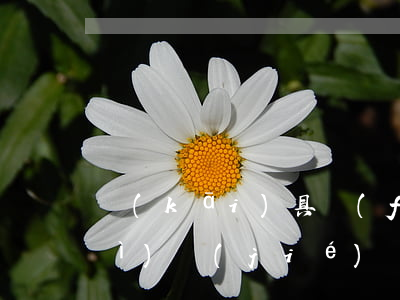 開(kāi)具發(fā)票有哪些細(xì)節(jié)問(wèn)題