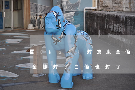 開(kāi)封京東金條逾期(京東逾期6天,金條封了,白條也封了)