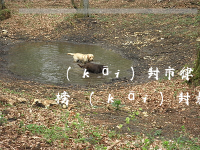 開(kāi)封市律師事務(wù)所排行榜(開(kāi)封最好的刑事律師是誰(shuí))