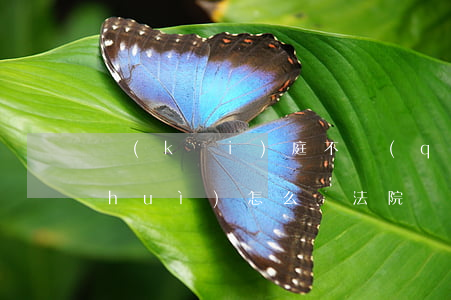 開(kāi)庭不請(qǐng)律師會(huì)怎么樣(法院開(kāi)庭不請(qǐng)律師行不行)
