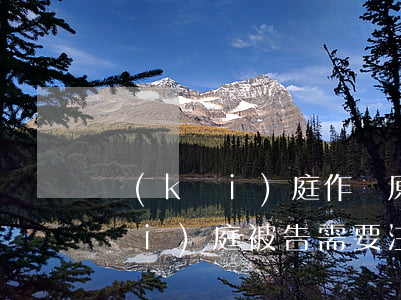開(kāi)庭作為原告要注意什么(開(kāi)庭被告需要注意什么)
