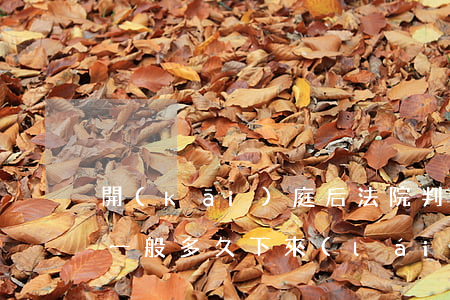 開(kāi)庭后法院判決結(jié)果一般多久下來(lái)(法院開(kāi)完庭之后多久下判決)