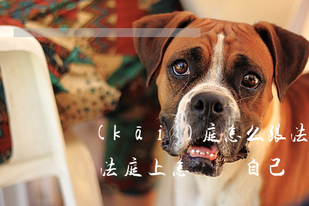 開(kāi)庭怎么跟法官說(shuō)話(法庭上怎樣為自己說(shuō)話)