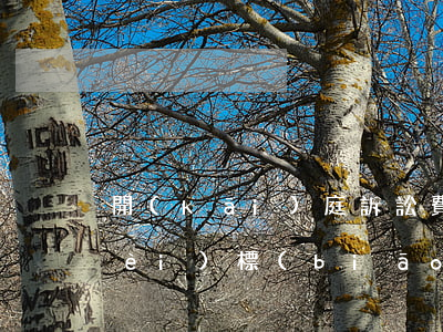 開(kāi)庭訴訟費(fèi)收費(fèi)標(biāo)準(zhǔn)(開(kāi)庭費(fèi)要多少錢(qián))