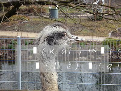開(kāi)心錢(qián)包逾期一天(樂(lè)錢(qián)包逾期)