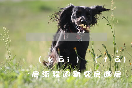 開(kāi)發(fā)商交房逾期起訴退房流程(逾期交房退房開(kāi)發(fā)商不退房款怎么辦)