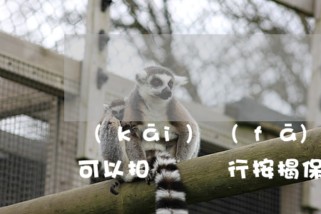 開(kāi)發(fā)商保證金賬戶法院可以扣劃嗎(銀行按揭保證金法院能否扣劃)