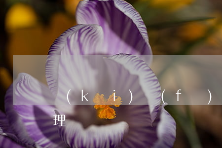 開(kāi)發(fā)商合同糾紛如何處理