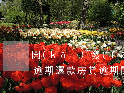 開(kāi)發(fā)商買(mǎi)房逾期還款(房貸逾期開(kāi)發(fā)商解除購(gòu)房合同)